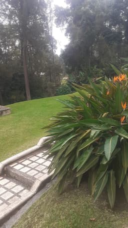 Foto 24