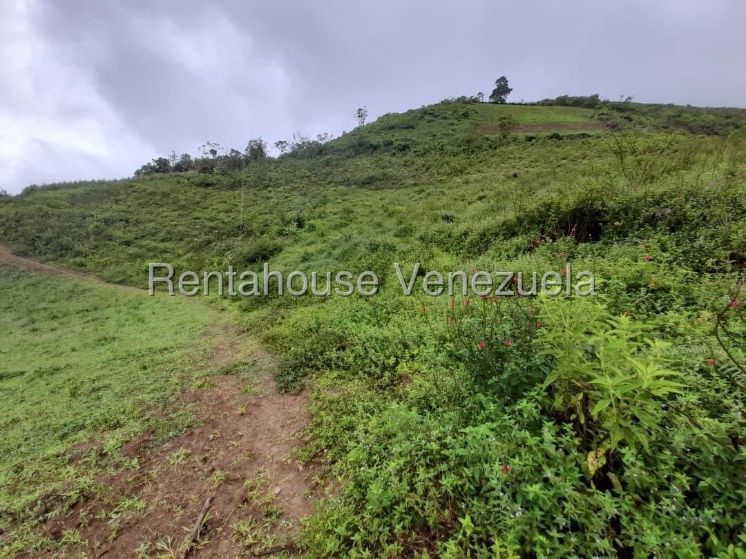 Terreno en venta en El Carrizal